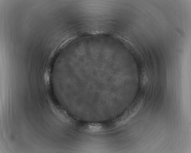 X0000112900214200909111532