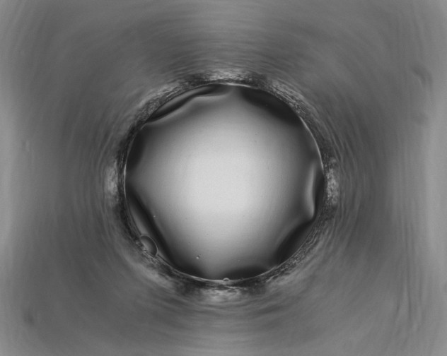 X0000112900215200909111532