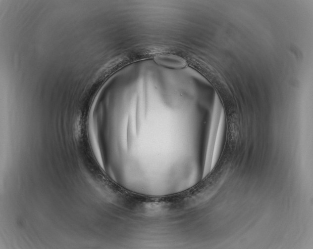 X0000112900216200909111532