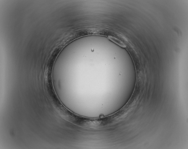 X0000112900217200909111532