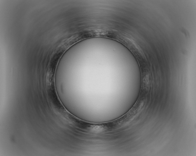 X0000112900218200909111532