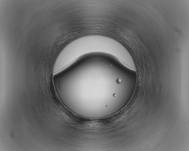 X0000112900219200909111532