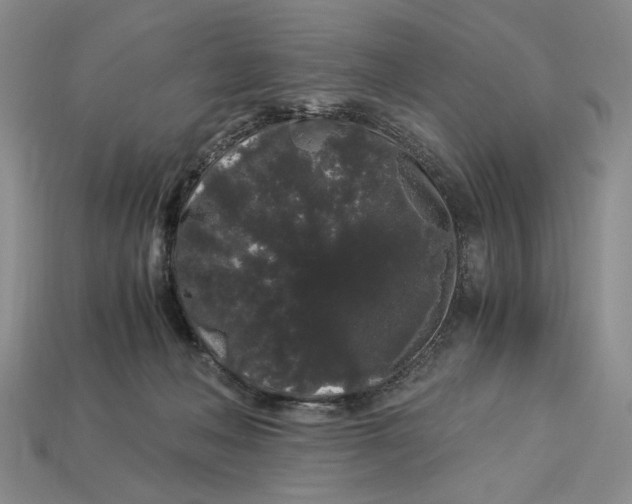 X0000112900222200909111531