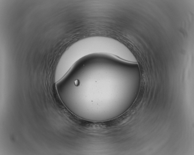 X0000112900223200909111531