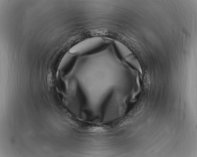 X0000112900224200909111531