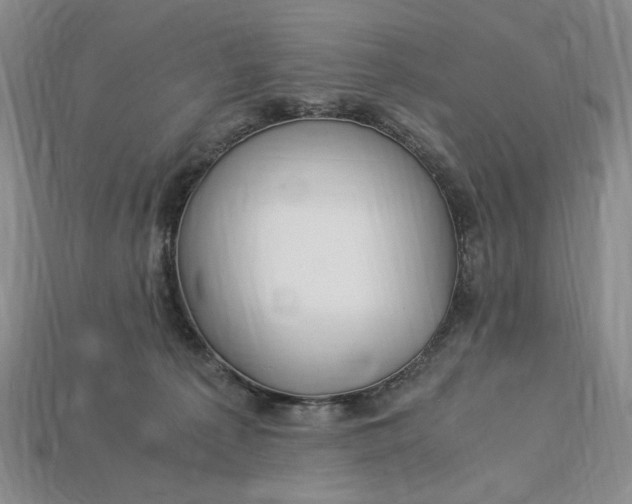 X0000112900225200909111531