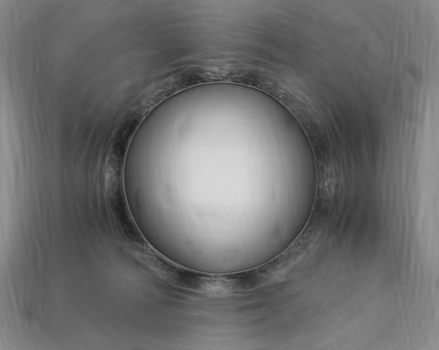 X0000112900226200909111531