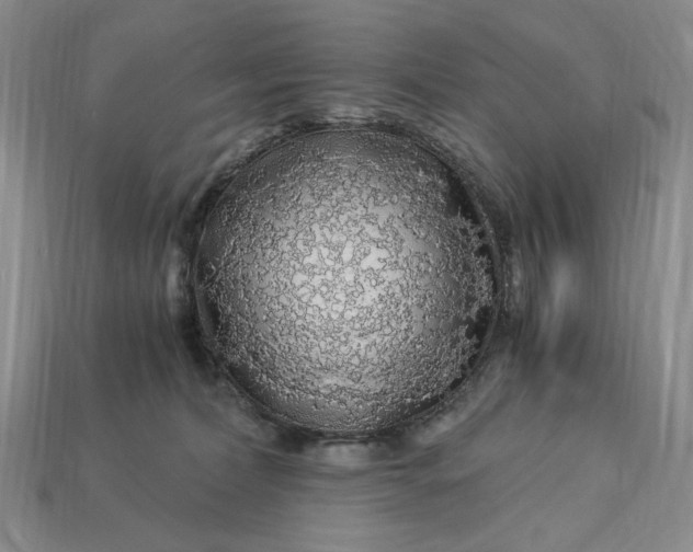 X0000112900228200909111531