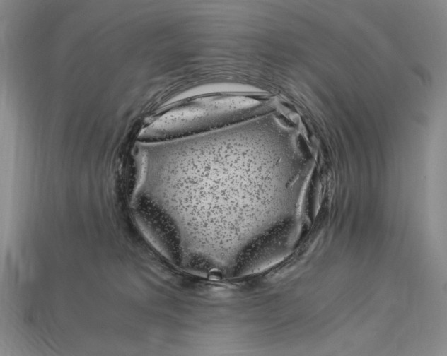 X0000112900229200909111531