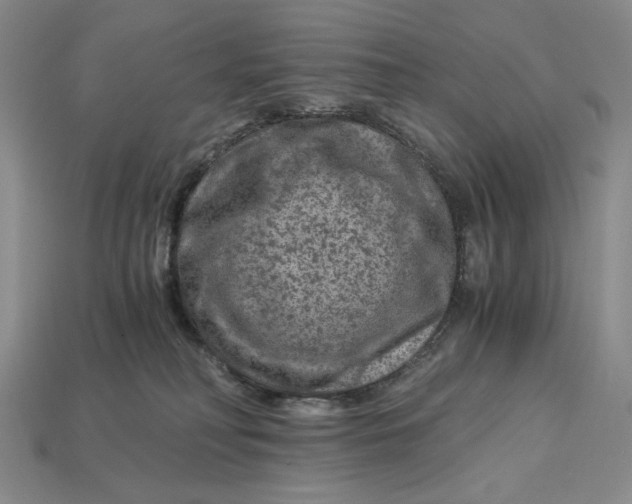 X0000112900230200909111531