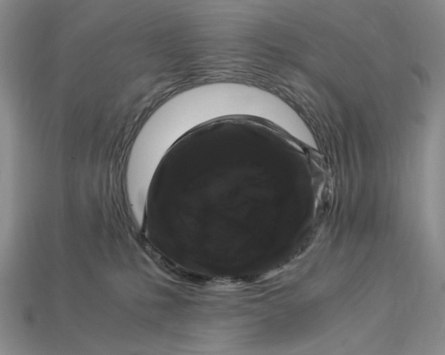 X0000112900231200909111531