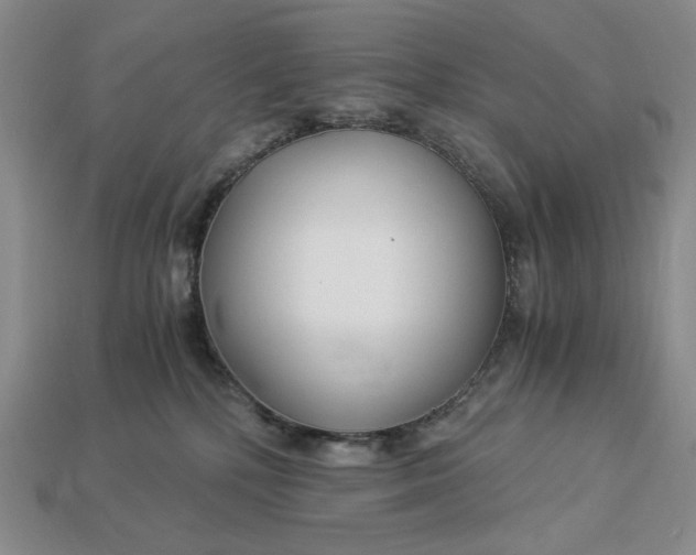 X0000112900232200909111531