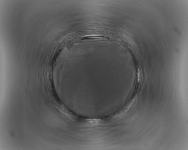 X0000112900233200909111531