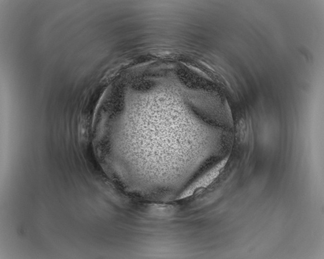 X0000112900234200909111531