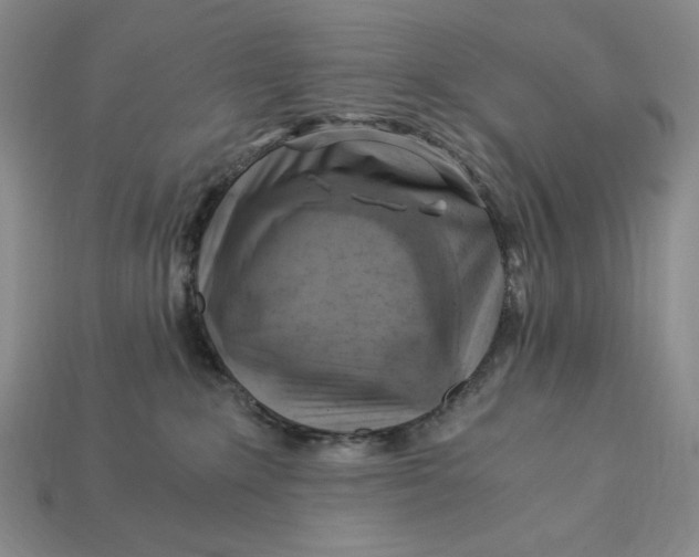 X0000112900235200909111531