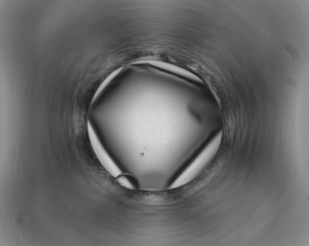 X0000112900236200909111531