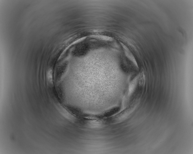 X0000112900238200909111531