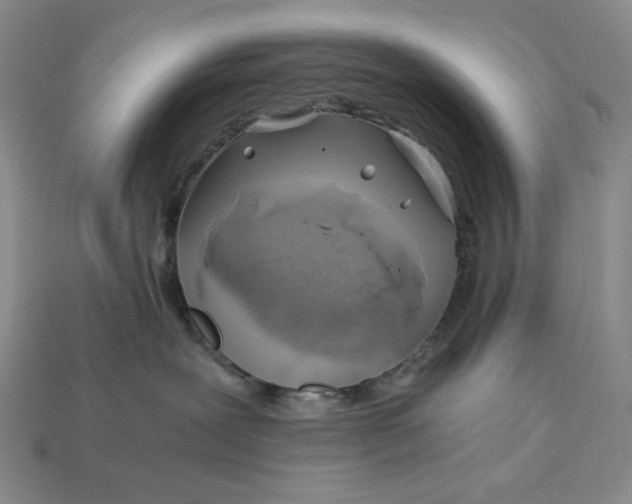 X0000112900239200909111531