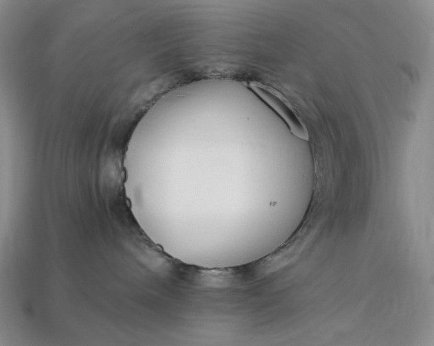 X0000112900240200909111531
