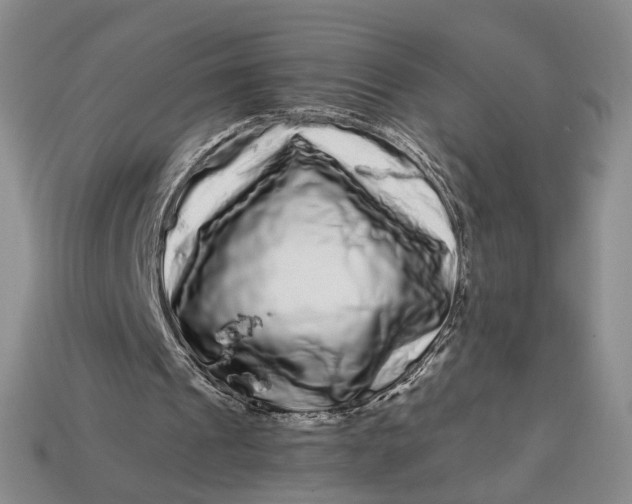 X0000112900241200909111531