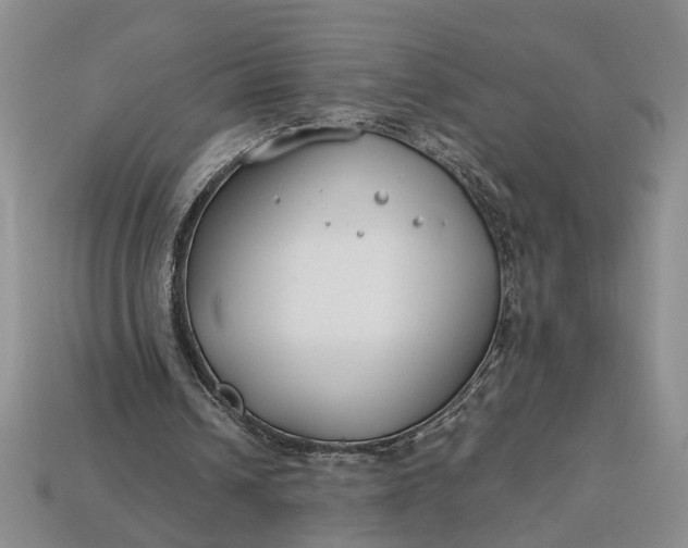 X0000112900242200909111531