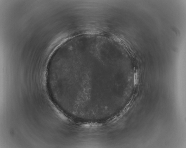 X0000112900243200909111531