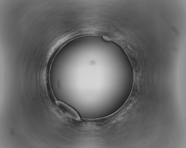 X0000112900244200909111531