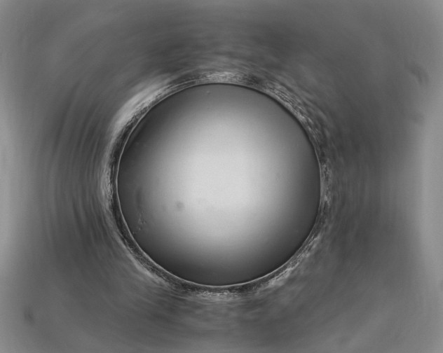 X0000112900245200909111531