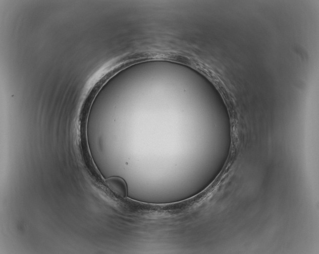 X0000112900246200909111531