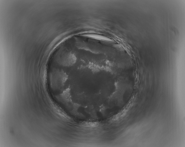X0000112900247200909111531