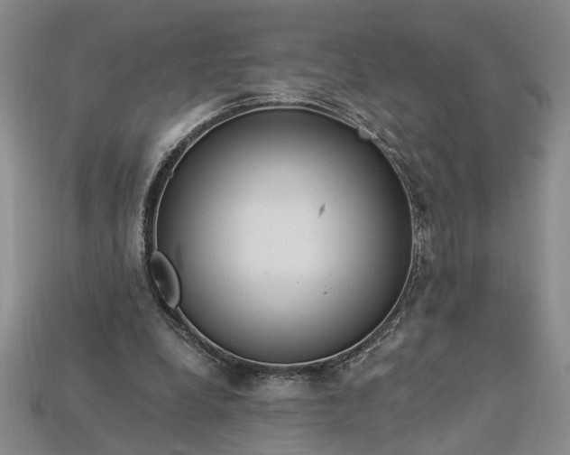X0000112900248200909111531