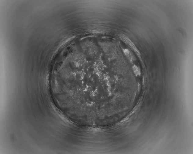 X0000112900249200909111531