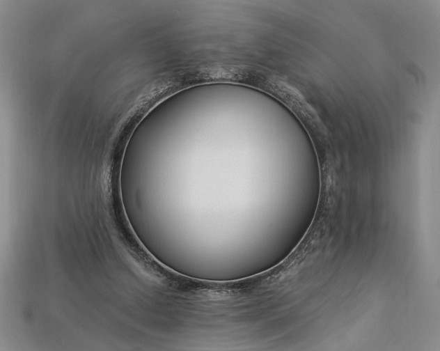 X0000112900250200909111531