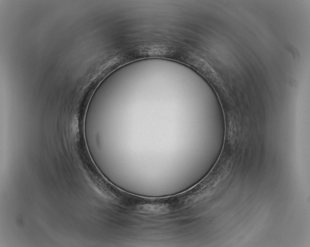 X0000112900251200909111531
