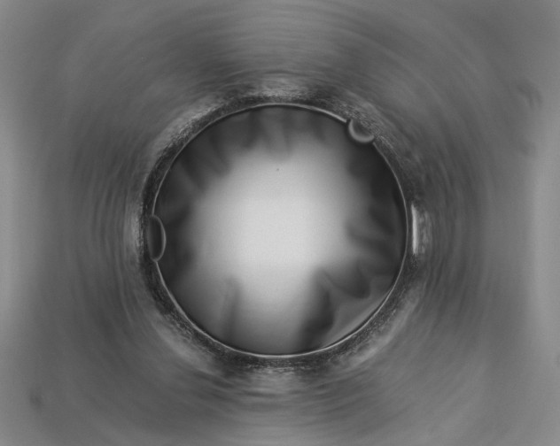 X0000112900252200909111531