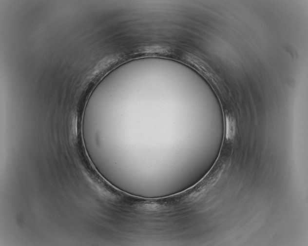 X0000112900253200909111531