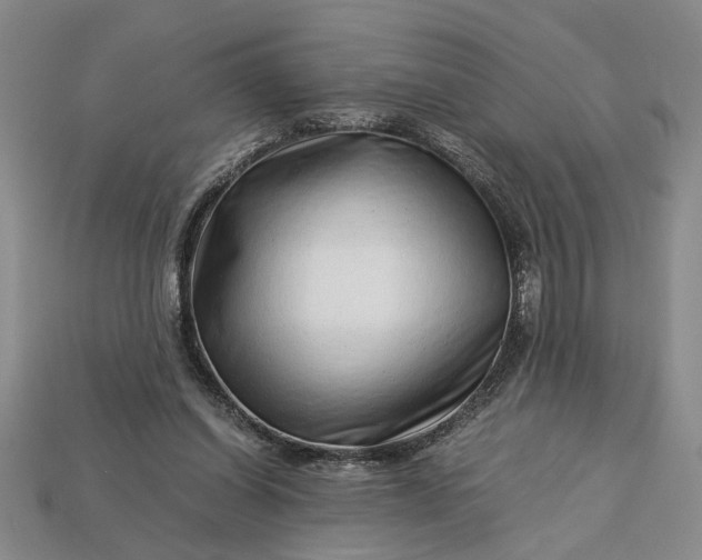 X0000112900254200909111531