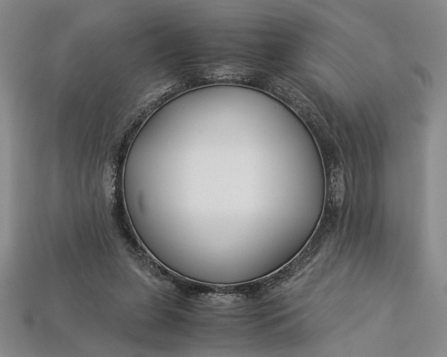 X0000112900255200909111531