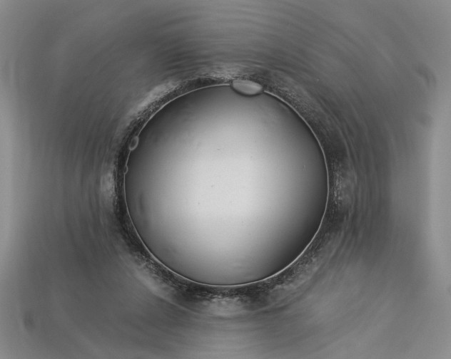 X0000112900256200909111531