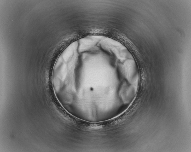 X0000112900257200909111531