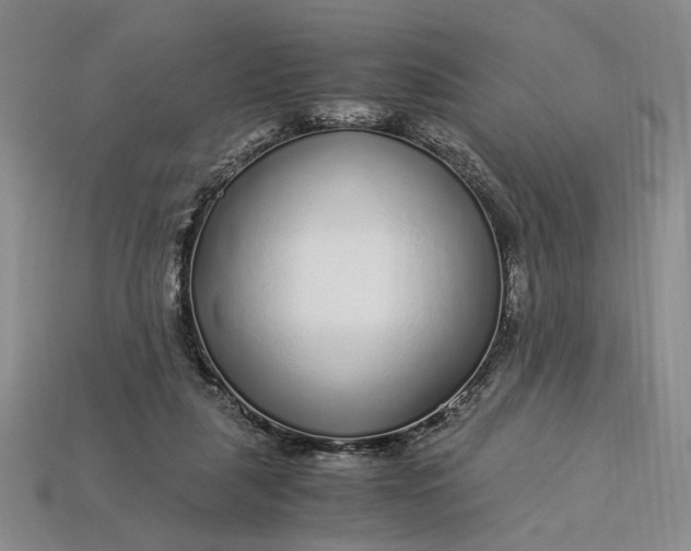 X0000112900259200909111531