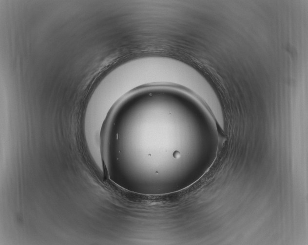 X0000112900260200909111531