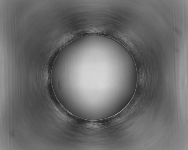 X0000112900261200909111531