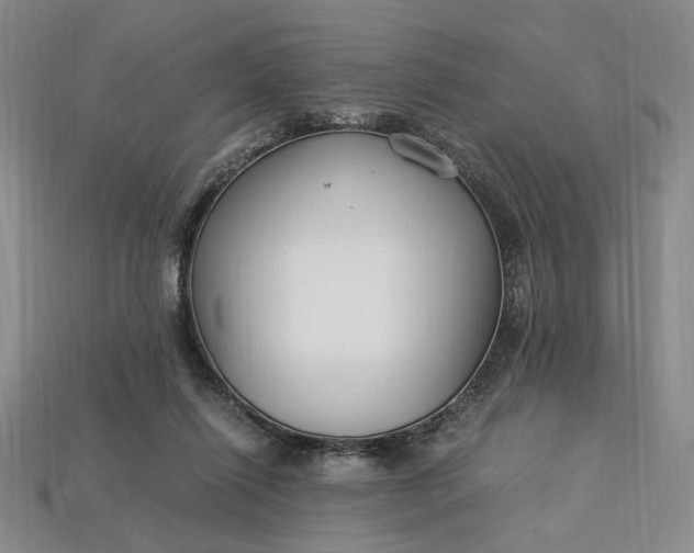 X0000112900262200909111531