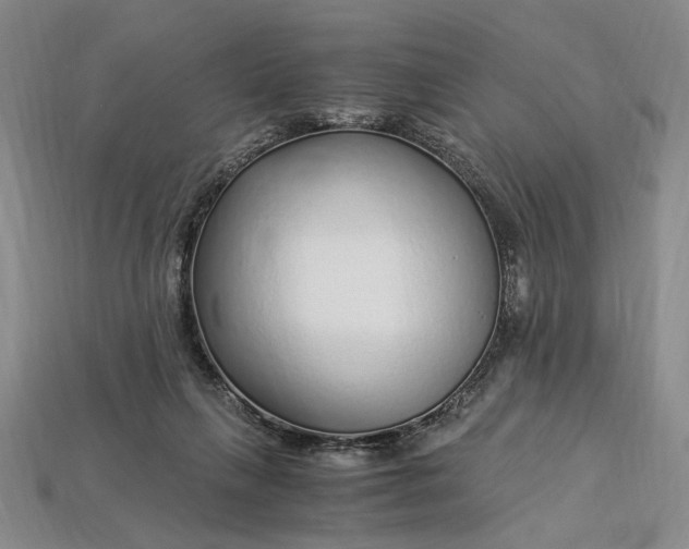 X0000112900263200909111531