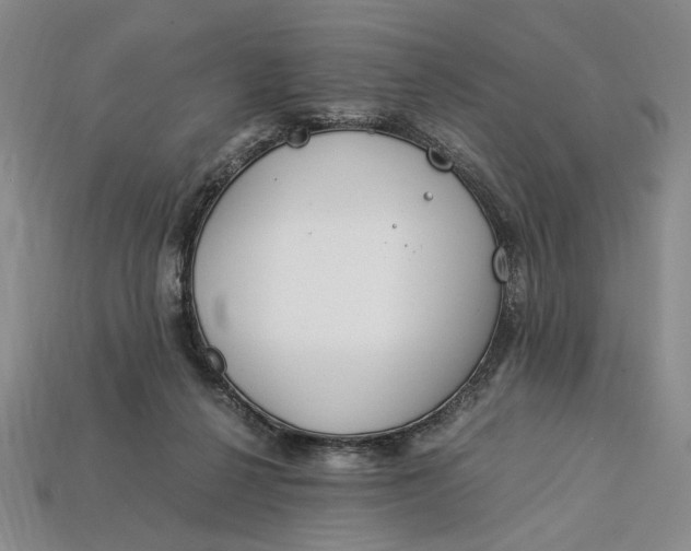 X0000112900264200909111531