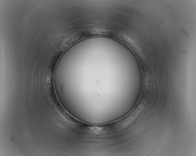 X0000112900265200909111531