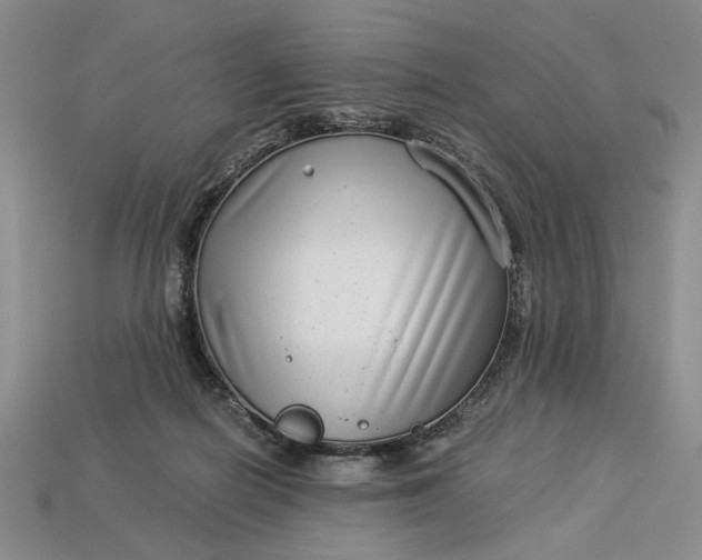 X0000112900266200909111531