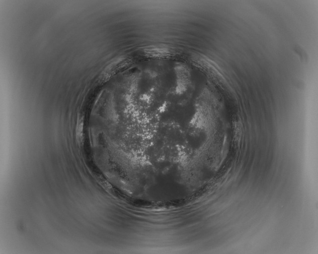 X0000112900267200909111531