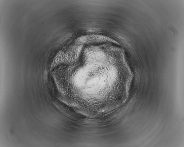 X0000112900269200909111531